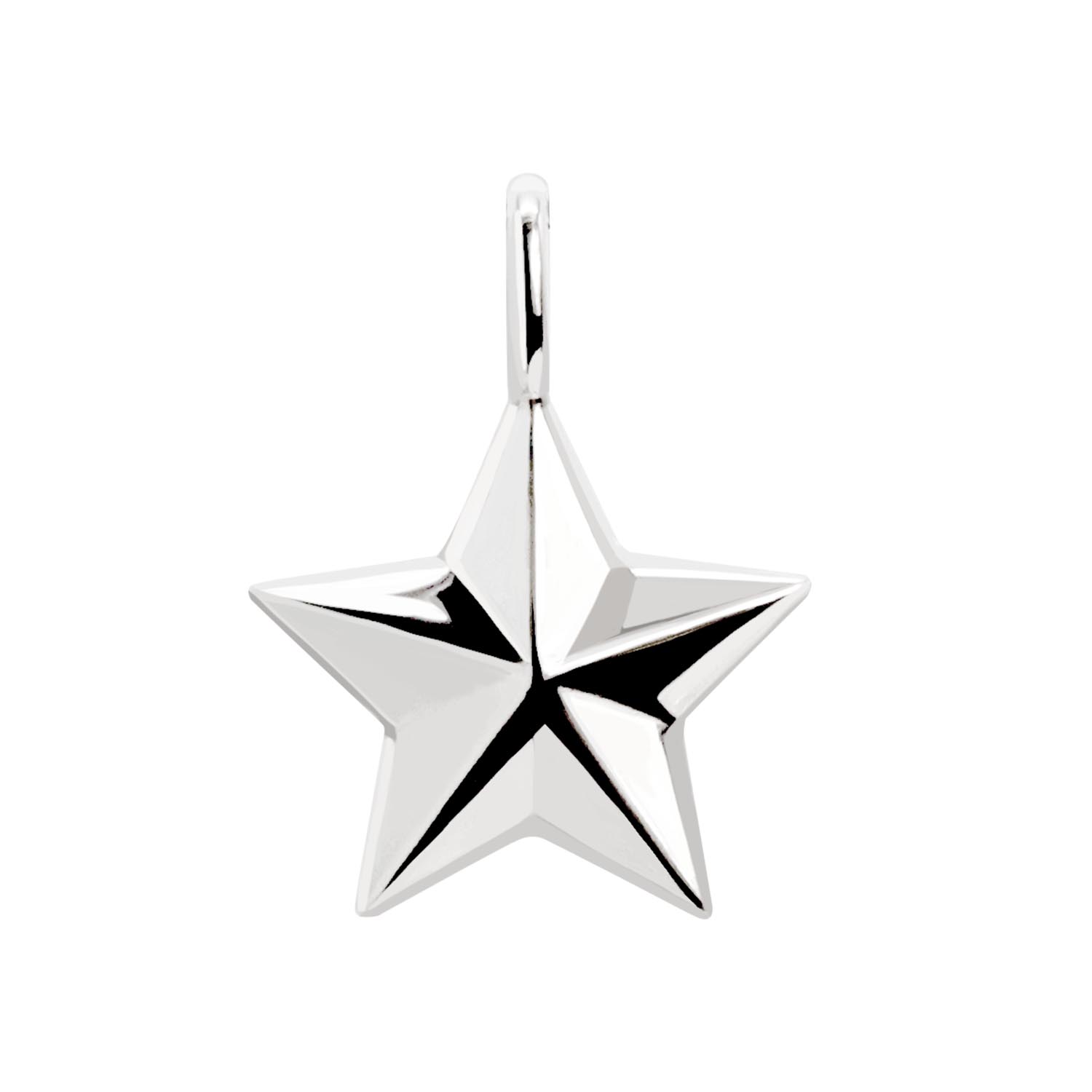 ペンダントトップ ステラ 星 レディース メンズ PT900 プラチナ ネックレス lp56-0032-pt