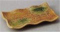 業務用食器焼物皿