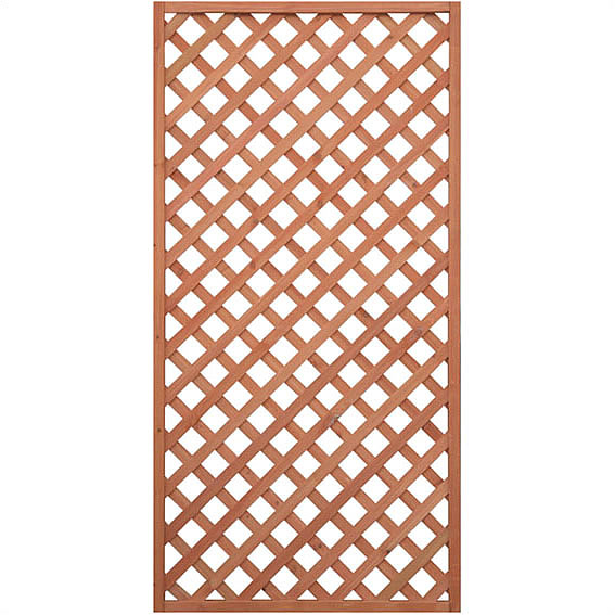 着色格子ラティス