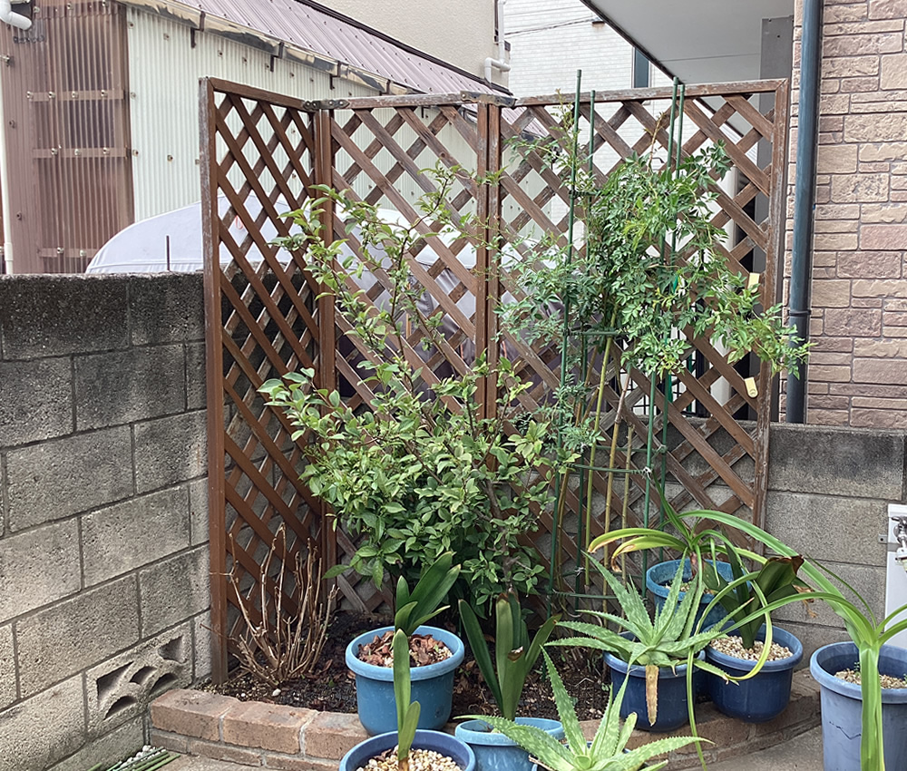 �ݒu�O�̂���