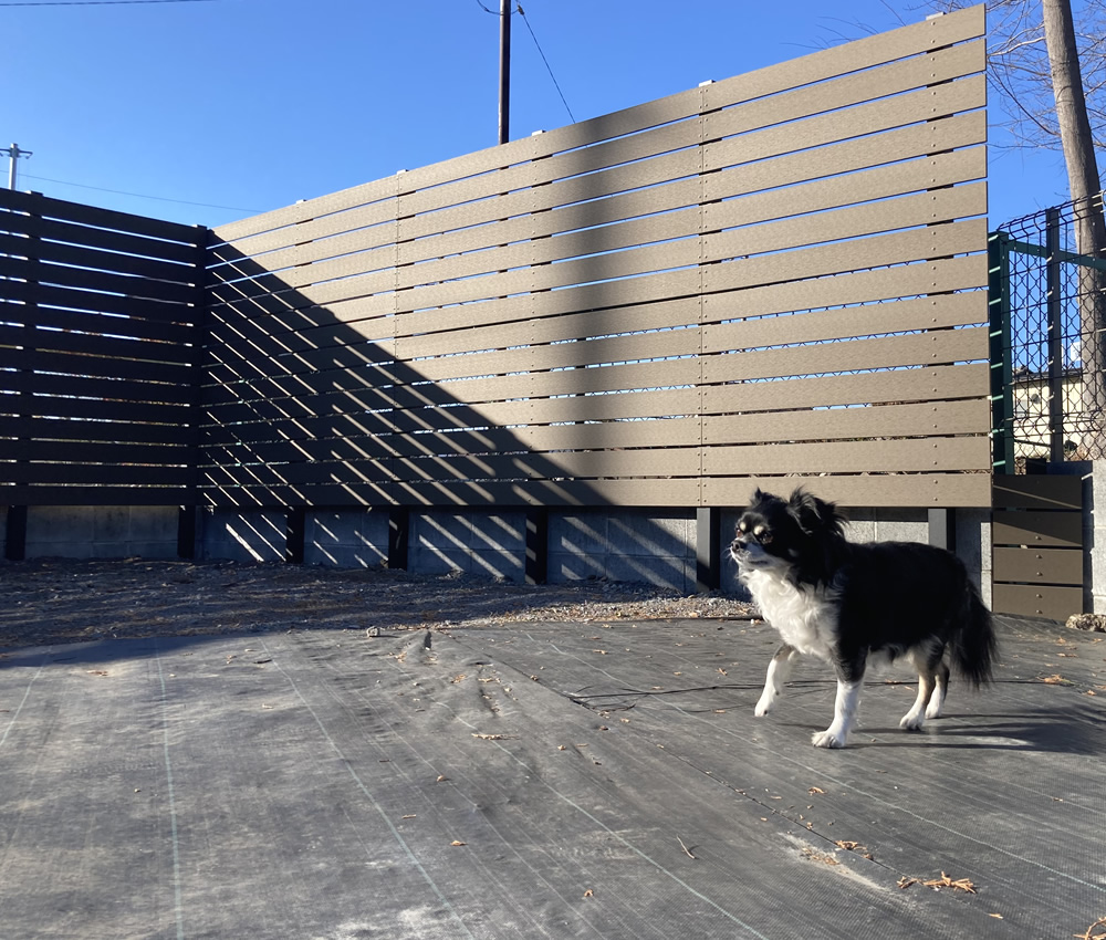 �Ō�ɉ�����񂿂�񂪗V�тɗ��Ă���܂����B