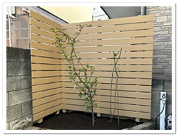 �V�R�؃��e�B�X����l�H�؃t�F���X�i�a�d�j�ւ̂����ւ��ݒu��