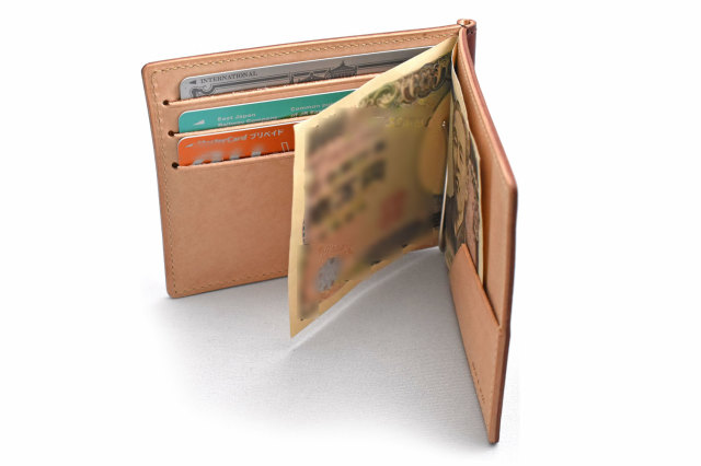 ナチュラルコードバン　スマートコンパクト　札ばさみ 「プレリーギンザ」　NP47321　イメージ画像