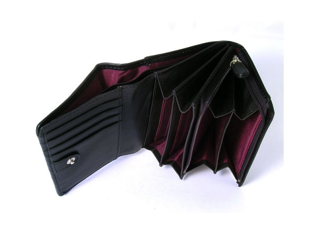 印伝　トンボ柄　二つ折り財布（小銭入れあり）　「ル・プレリー 」  NPE5210　クロ／アカ　特徴