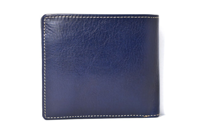 Pillet、LE PONT NEUF、海外版超希少レゾネ、新品額付 アゾネット | 商品詳細 | 1／6アイリスコレクトプチ Leo（レオ