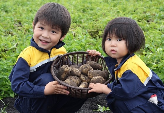 糖度9.8～13度 甘い越冬メークイン 約10kg 【北海道グルメ】 北海道