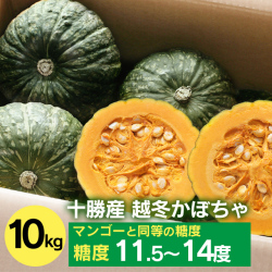 中橋農場　かぼちゃ10kg