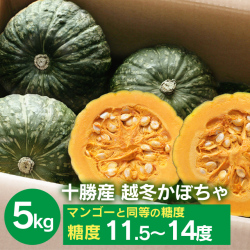 中橋かぼちゃ5kg