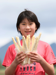 【極太ホワイトアスパラ】１ｋｇ　２～３Ｌ　15本くらい