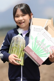 【グリーンアスパラ】２ｋｇ Ｍ～２Ｌ込み