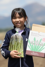 【グリーンアスパラ】１ｋｇ Ｍ～２Ｌ込み