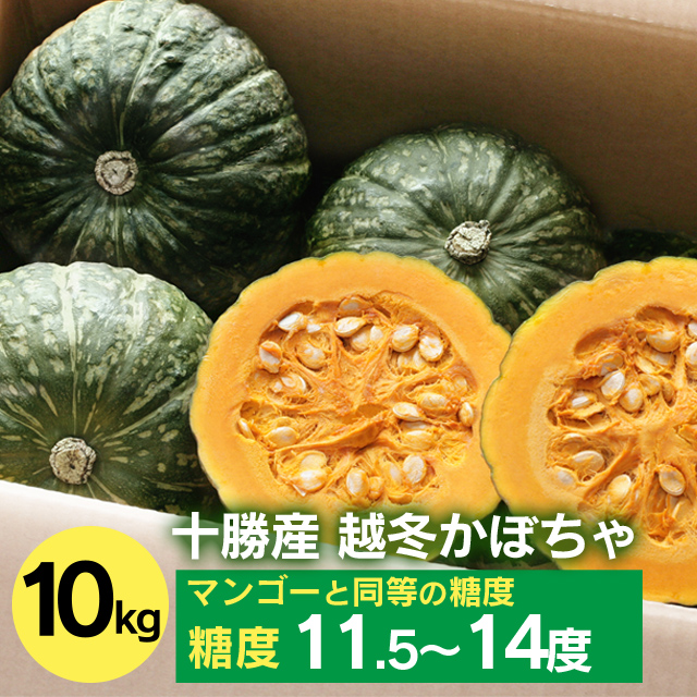 中橋農場　かぼちゃ10kg