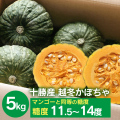 中橋かぼちゃ5kg