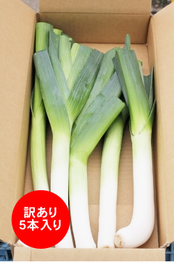 リーキ　西洋ネギ　ポワロー　十勝産　とかちポワロー