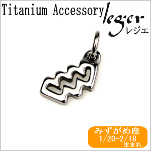 【チタンアクセサリー　レジエ】チタンペンダントトップ　mini星座（みずがめ座）