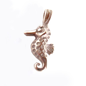 【チタンアクセサリー　レジエ】ペンダントトップ