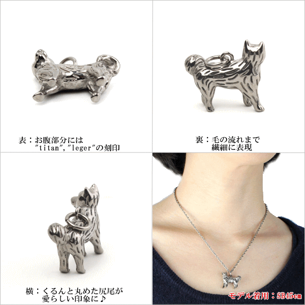 【チタンアクセサリー　レジエ】ペンダントトップ