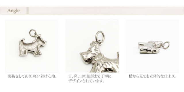 【チタンアクセサリー　レジエ】ペンダントトップ　テリア