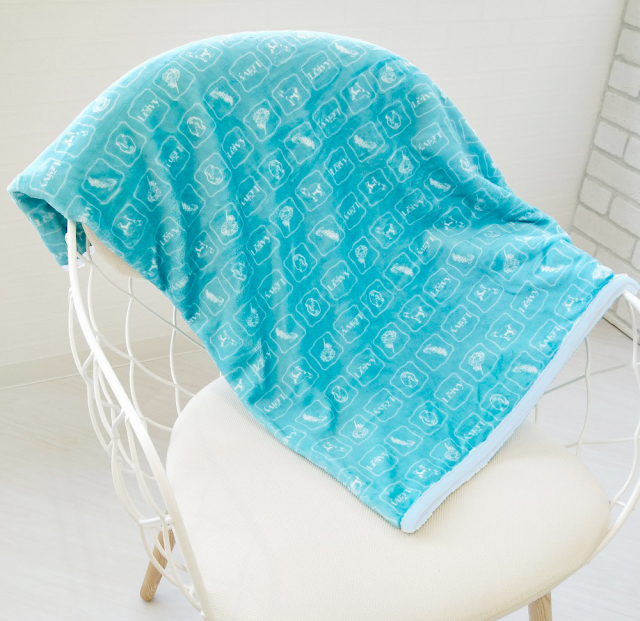 レイヴィーブランケット　レイヴィ