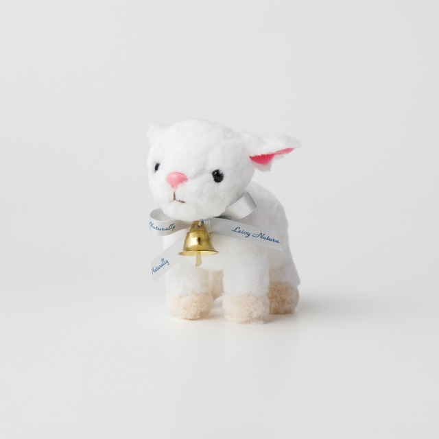 銀のレイちゃんセット