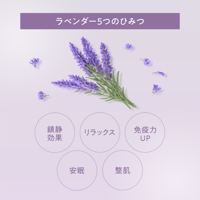 レイヴィーフォームボディシャンプーラベンダー500ml｜Leivy Naturally