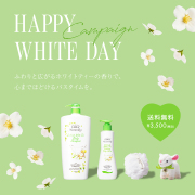 新商品・限定商品