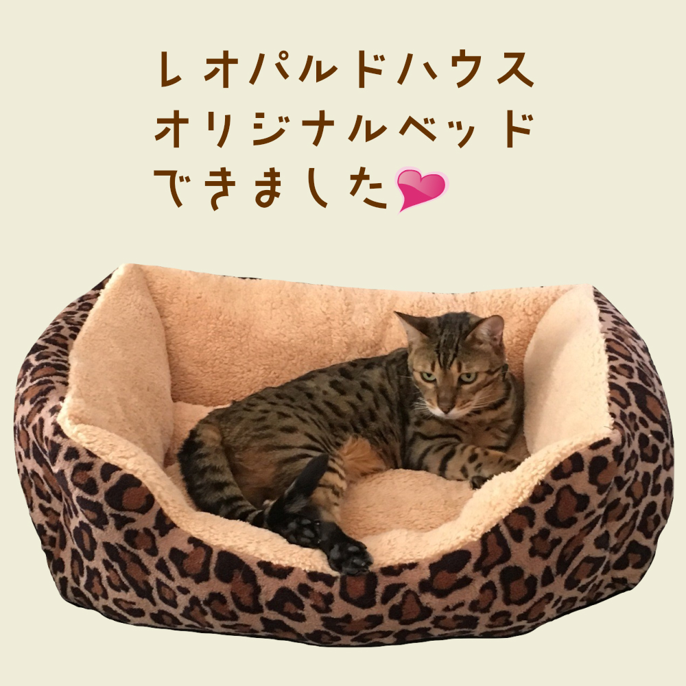 レオパルドハウスオリジナル スクエアタイプ ヒョウ柄　Lサイズ 　PBSW-L