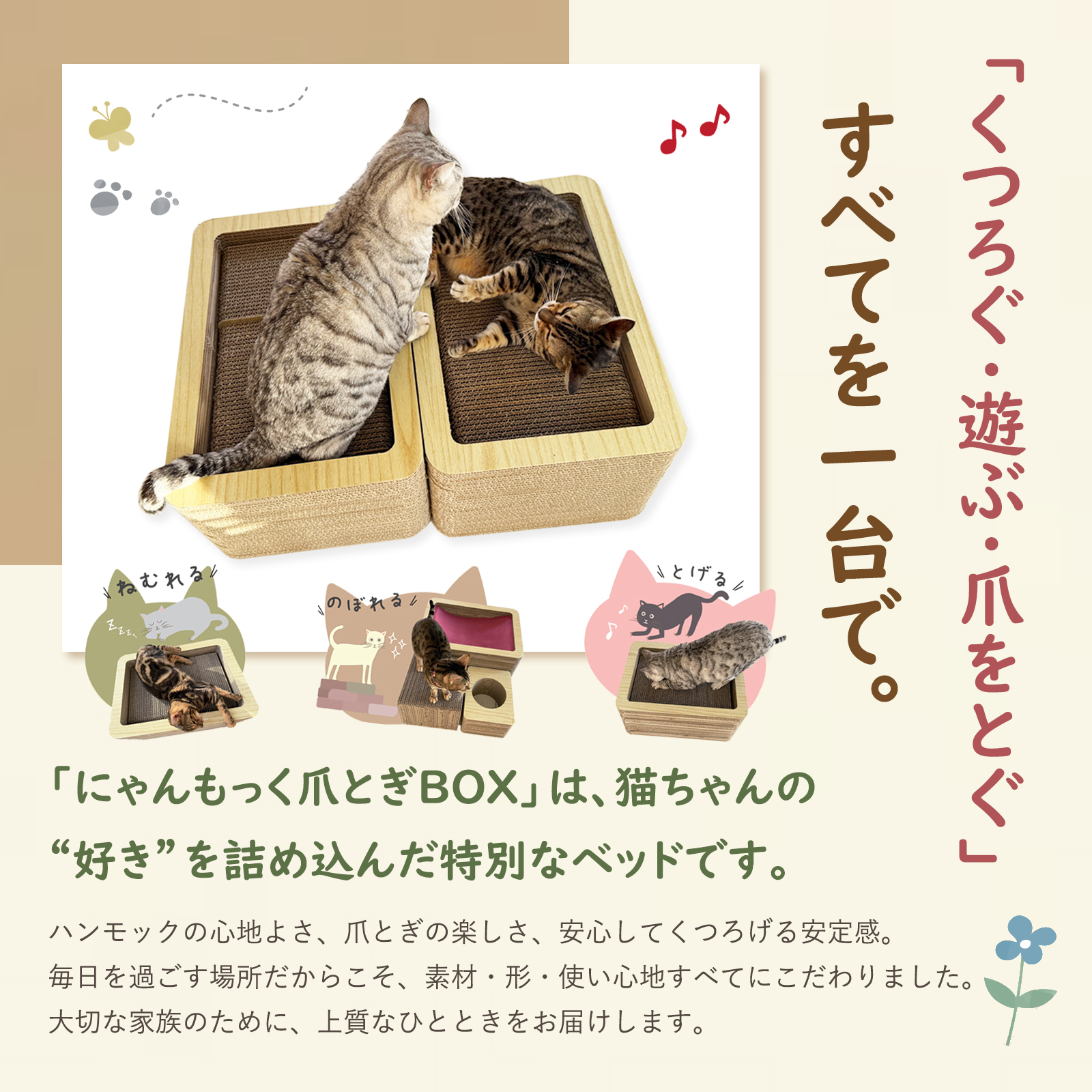 【予約】にゃんもっく爪とぎBOX【5月初旬発送予定】