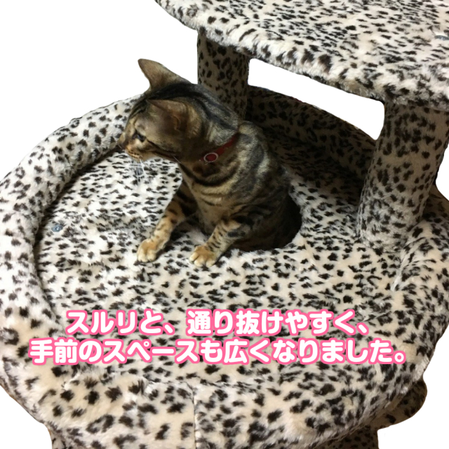 cts-1台座ベッド