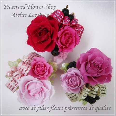 パルフェ * Parfait *　クリアケース付き