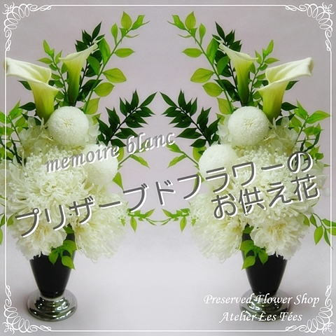 MemoireBlanc
