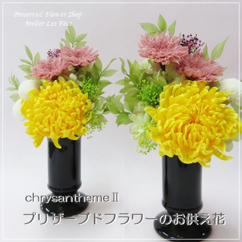 ChrysanthemeⅡ