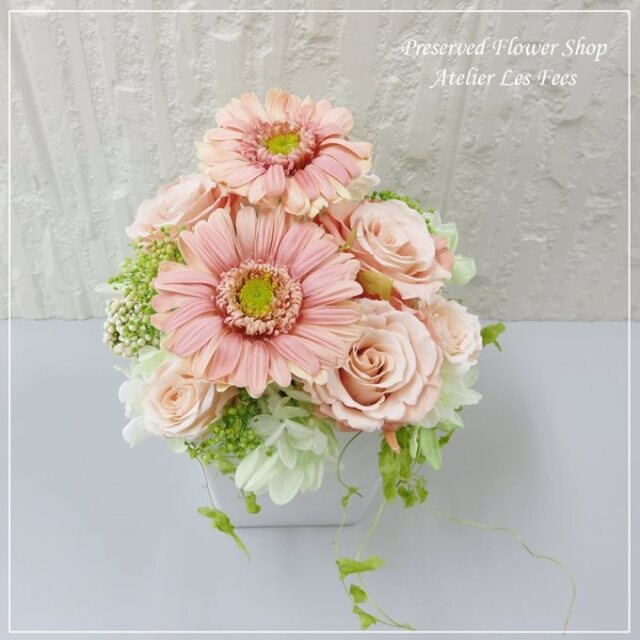 Gerbera Peche