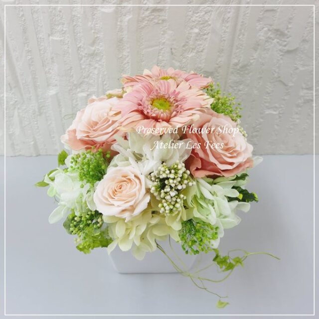Gerbera Peche