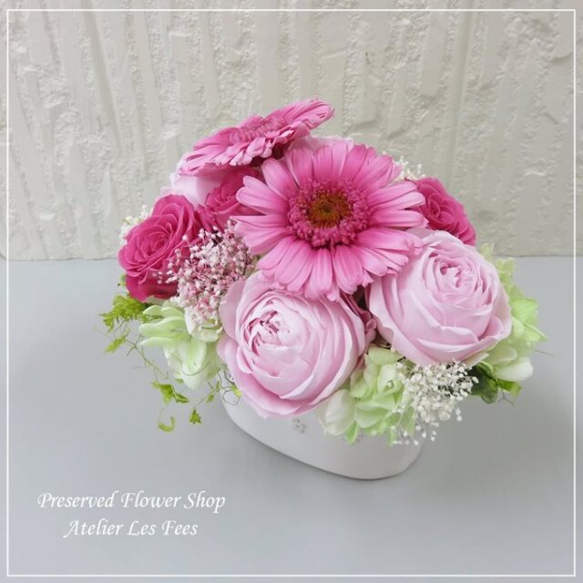 Gerbera Rose