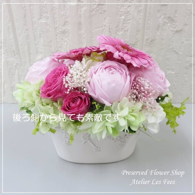Gerbera Rose