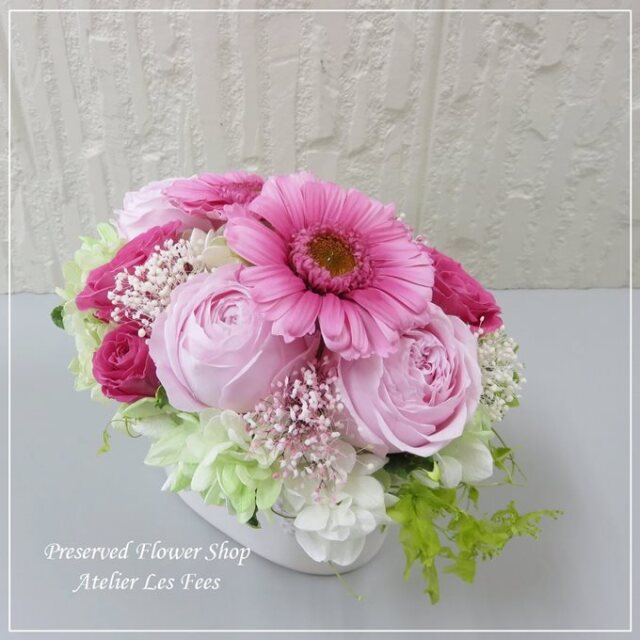 Gerbera Rose