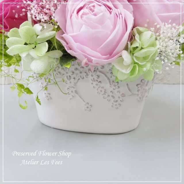 Gerbera Rose