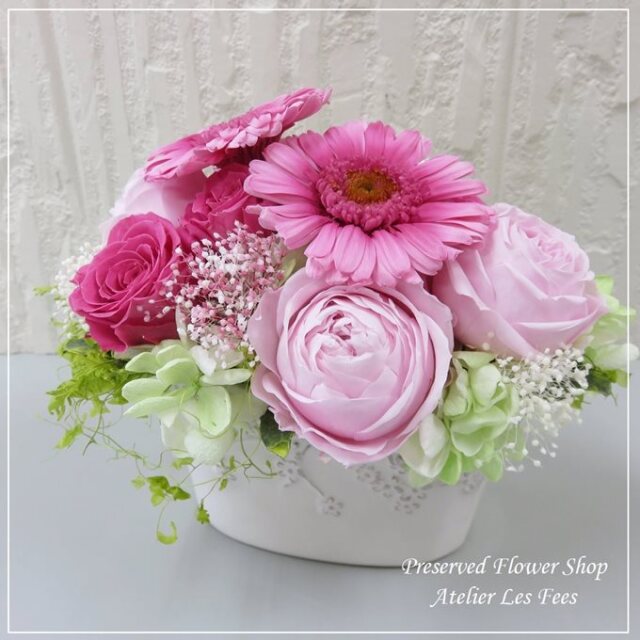 Gerbera Rose