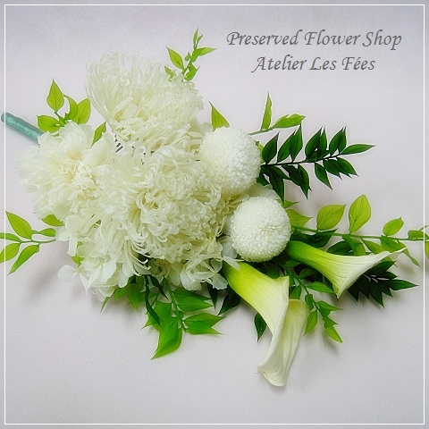 Memoire Blanc