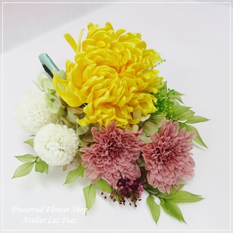 ChrysanthemeⅡ