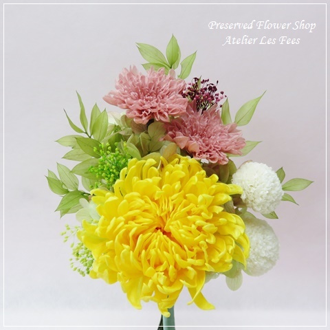ChrysanthemeⅡ