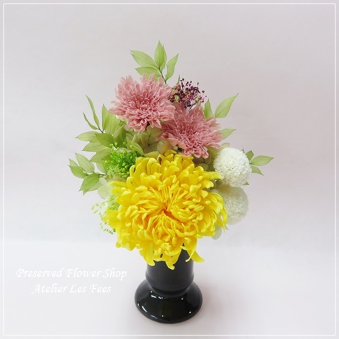 ChrysanthemeⅡ
