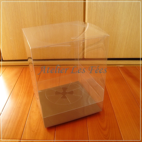 clear case
