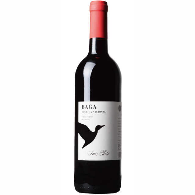 ルイス・パト　バガ＆トウリガ・ナショナル　2020年