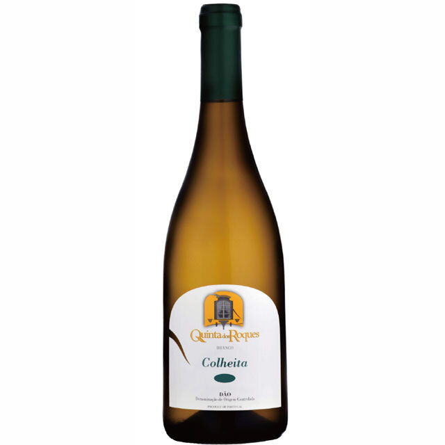 キンタ・ドス・ロケス　ダン　ホワイト　2022年