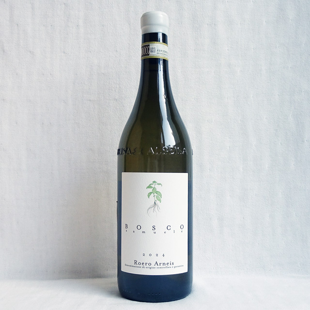 サムエレ・ボスコ　ロエーロ　アルネイス　2024年