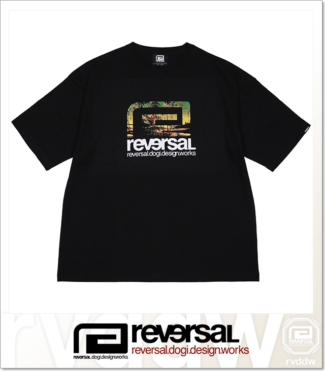 reversal (リバーサル)