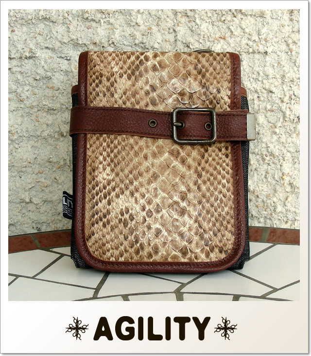 AGILITY
