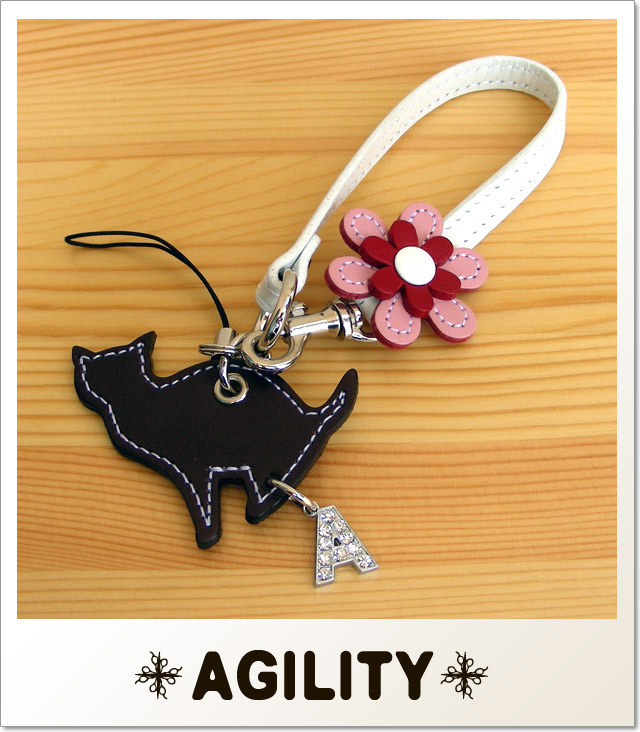 AGILITY